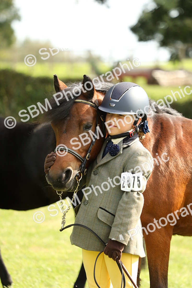 SBM_68552 - S40 - Junior Handler 9-12 Years