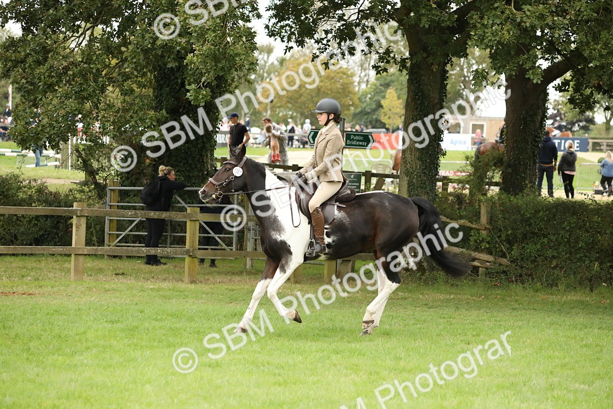 SBM_73776 - S41 - Ridden Equitation (Best Rider)