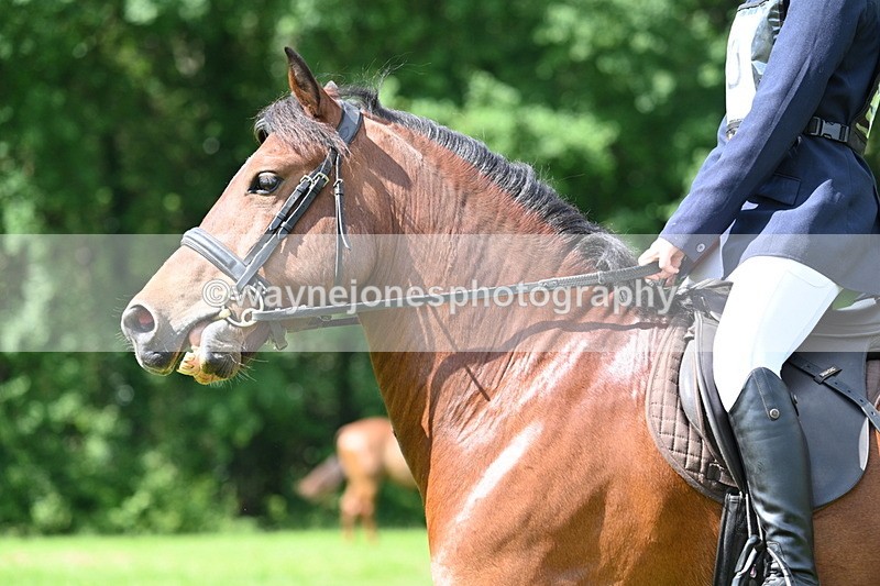 WJ7_1199 - Class 11 Condition & Turnout