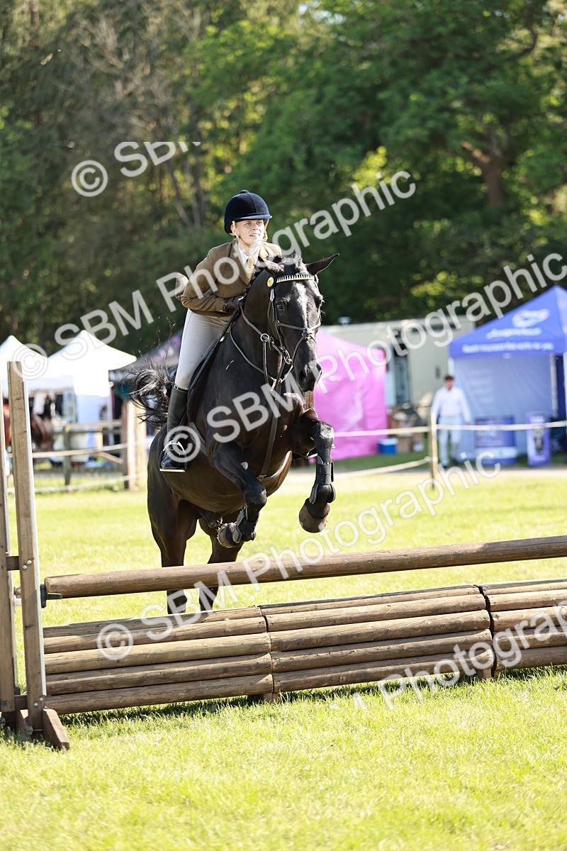 SBM_19160 - Class 115-116 - LIHS BSHA Rising Star Working Hunter & Show Horse