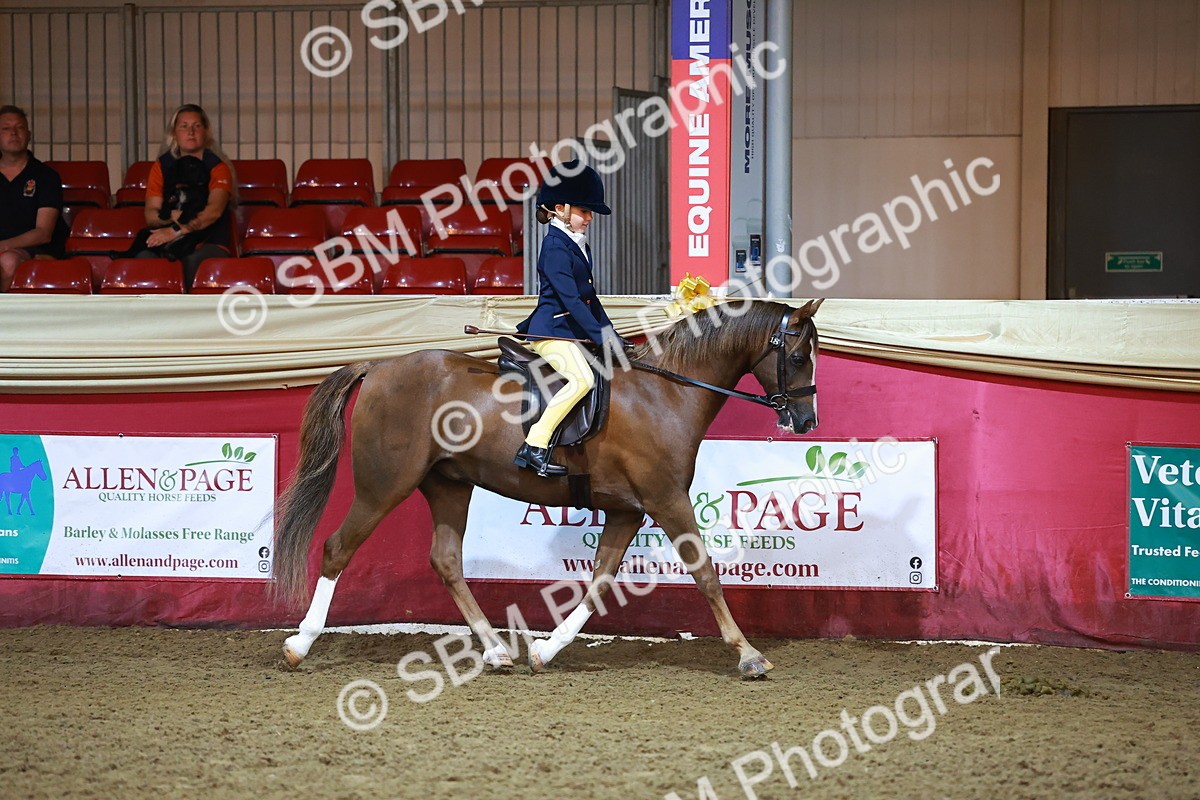 SBM_14818 - Class E - Best Turned Out Champ