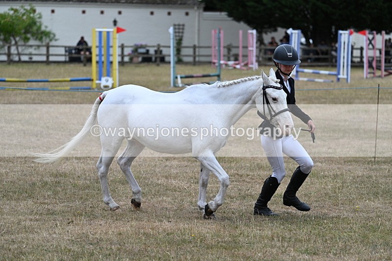 WJ7_8317 - Class 4 Prettiest Mare up to 14.2hh