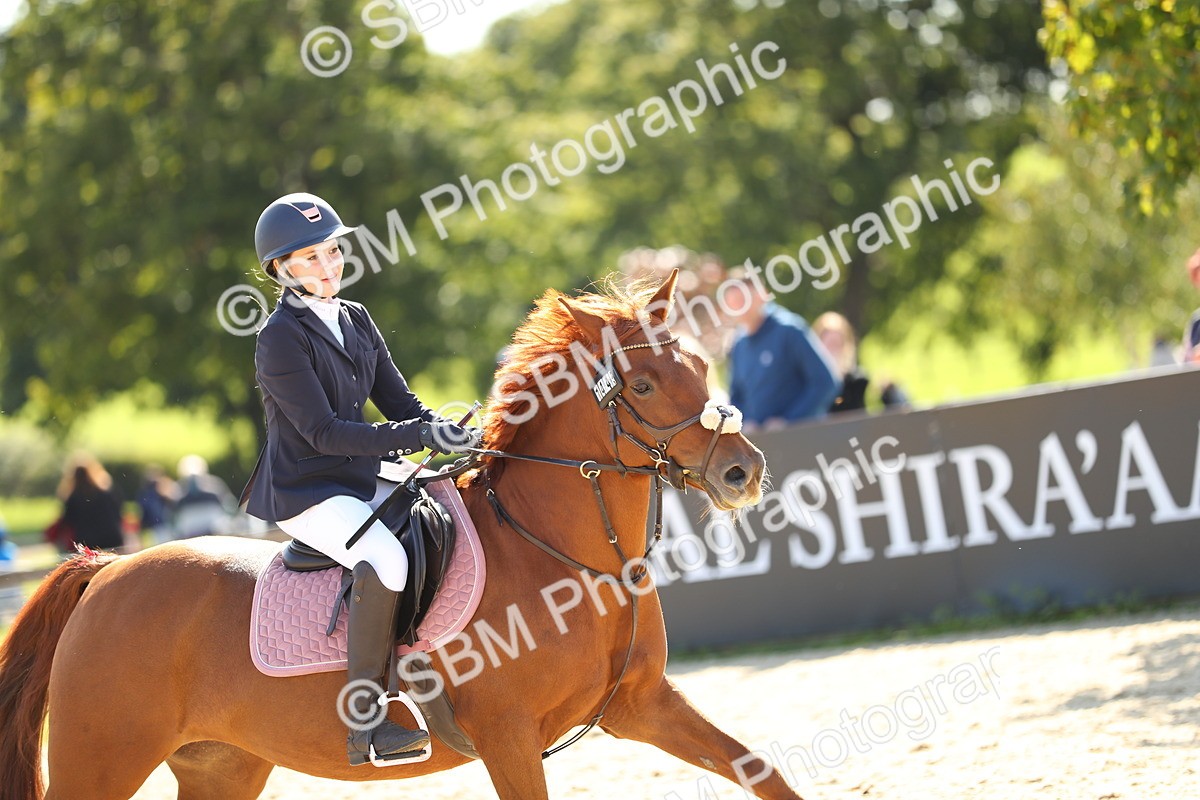 SBM_24070 - J45 - Accumulator 70 80cm