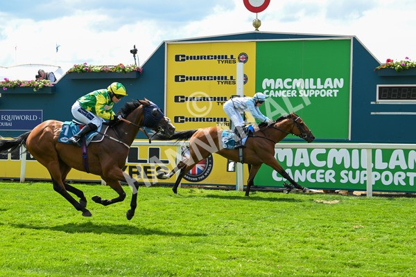 140625-Race 2-My Dream World-2335 - Race 2 2.25pm Queen Mother's Cup Handicap