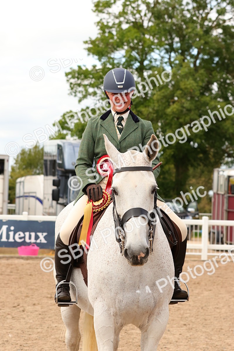 SBM_15587 - Class 214 - Ridden Show Cob