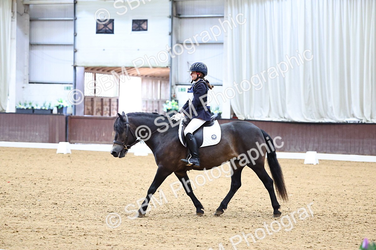 SBM_003408 - Intro 2