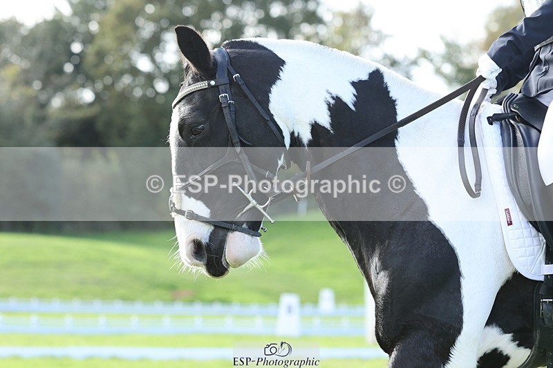 251024A-141521-12565 - F-478-Rosie.Manley