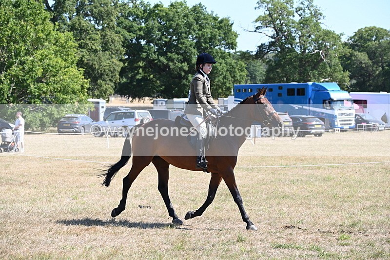 WJ6_8354 - Class 37a Best Loan Pony Ridden