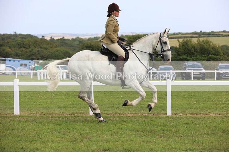 JPP_3854 - Class 23: Working Hunter 80cm