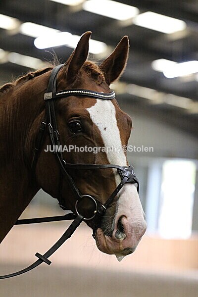 SIAL3223 - Sunday 14th Ridden