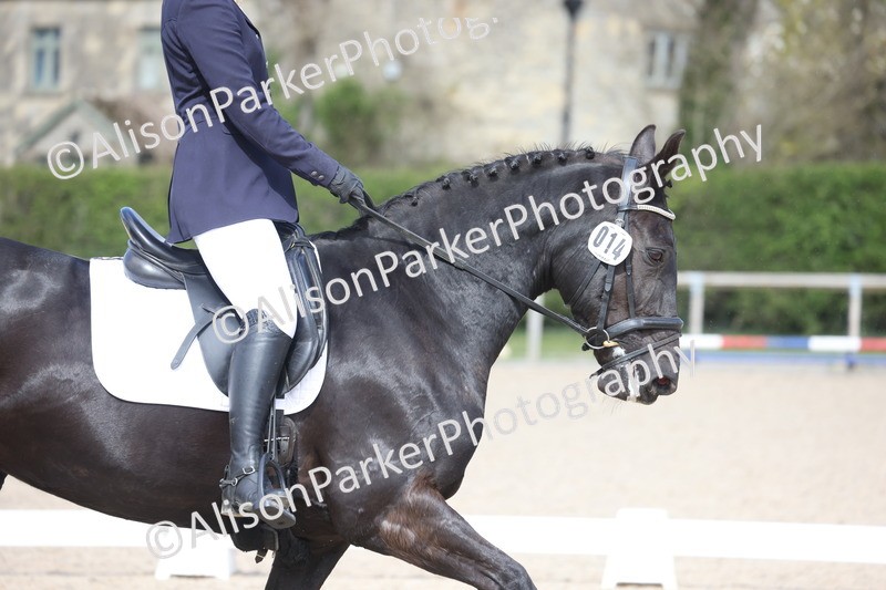 20260405-0442 - Class 5 - Elementary 5