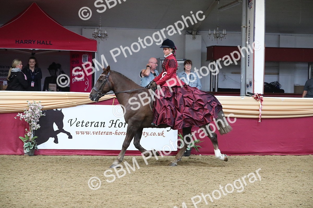 SBM_11315 - Class 104 Ridden Costume - Astride Junior