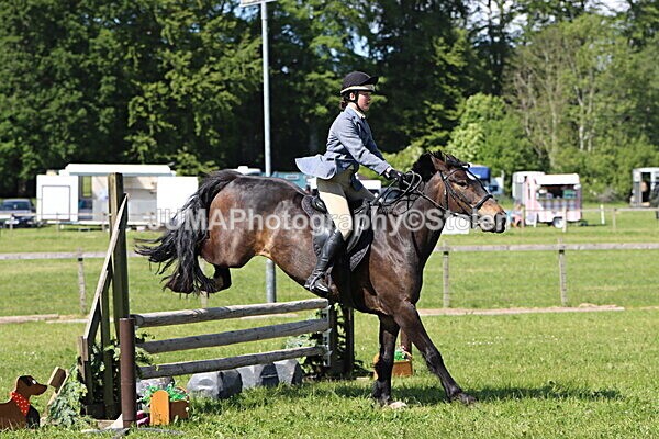 IMG_4547 - Working Hunter