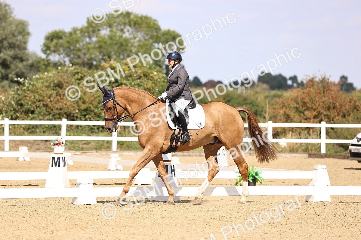 SBM_015080 - Class 6 - Elementary 5