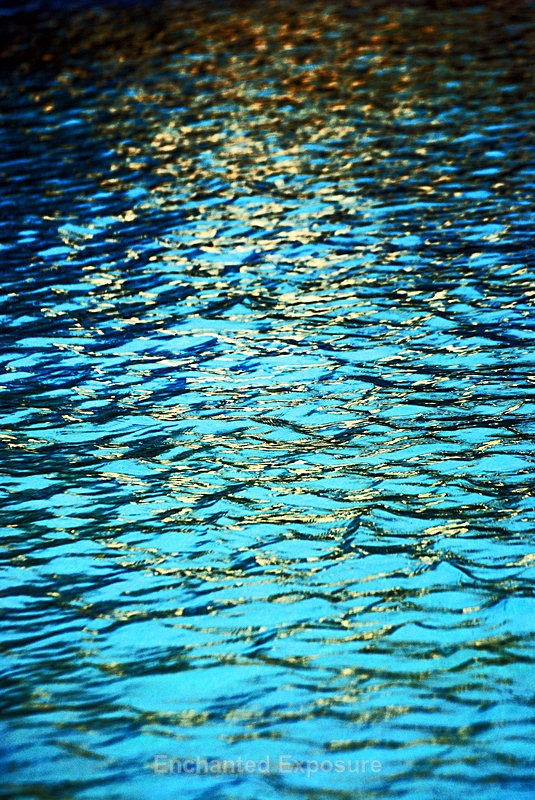 Drown Me in Gold II - Waterscapes