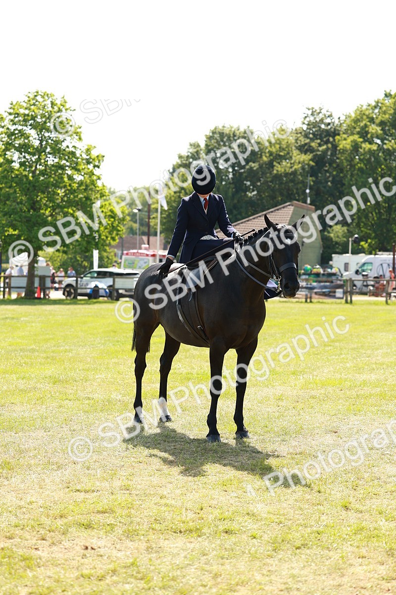 SBM_13346 - Class 70-71 - Side Saddle