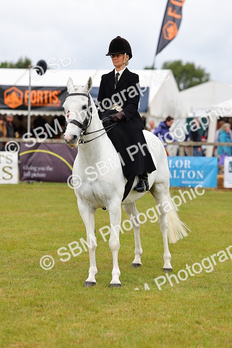SBM_02960 - Class 9-11 Side Saddle including LIHS Rising Star Ladies Show Horse