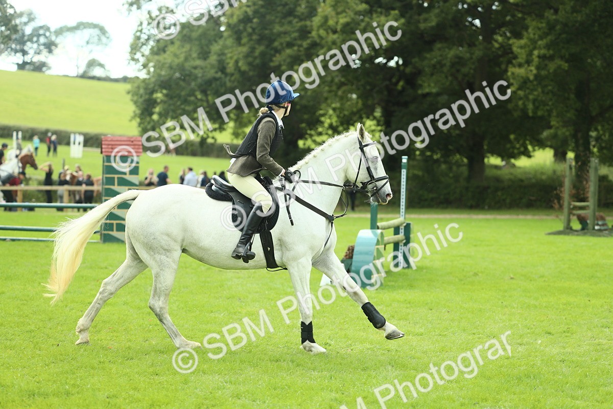 SBM_44724 - S31 - Working Hunter Pony