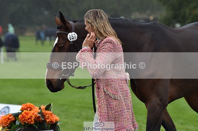 231018-120334-00053 - 057-OVERTON.TILANA'S.GOLD-Claire.Deuten-TrotUp