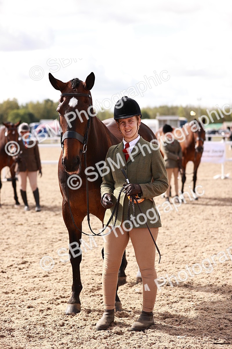SBM_13361 - class 406 - IH Hunter