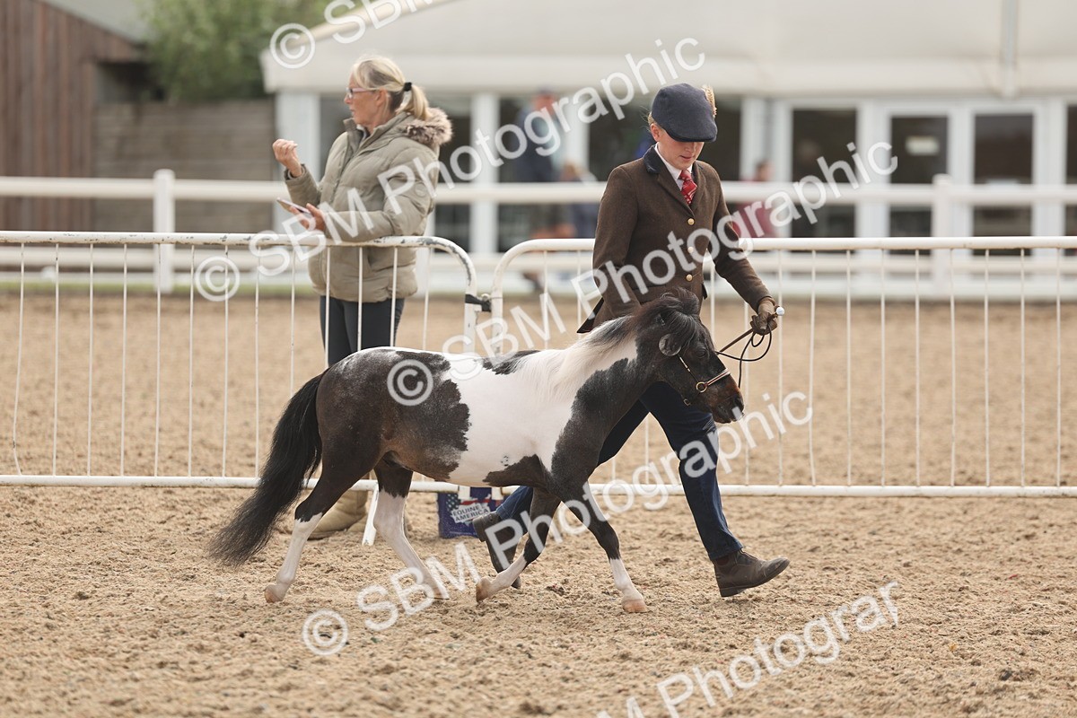 SBM_02072 - Class 15 - IH Coloured