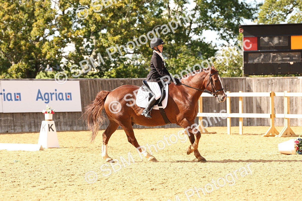 SBM_10599 - D9 - Small Tour Championship Prelim 3