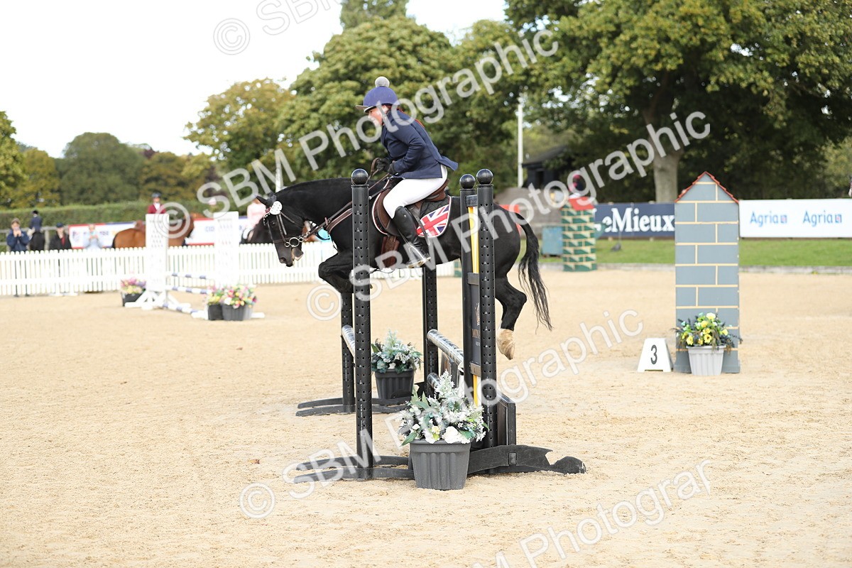 SBM_08500 - J30 - Senior Horse & Pony 70cm Championship