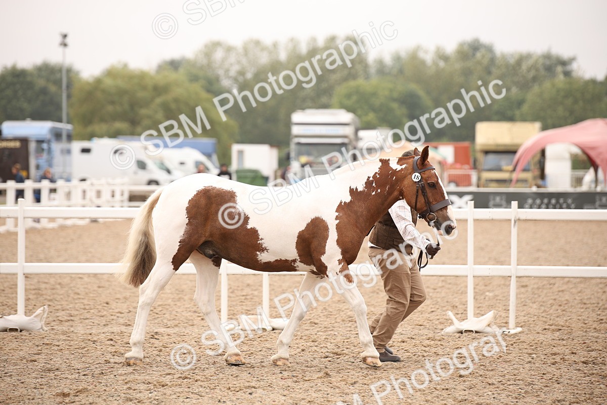 SBM_22112 - Class 707 - Ridden Groom-Helpers Class