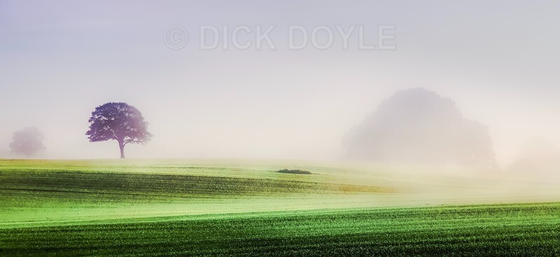 Dawn mist Marlfield Clonmel - Mood and mist with some lumen added