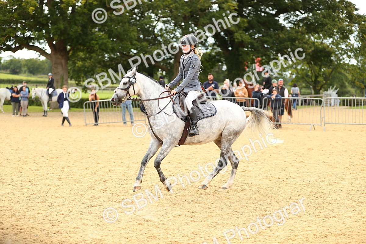 SBM_71366 - J18 - Junior Pony 85cm Championship