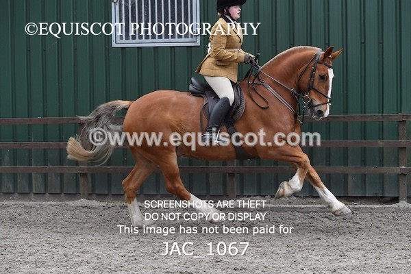 JAC_1067 - CLASS 7 BHS Scotland Riding Club Style Jumping (0.85m)