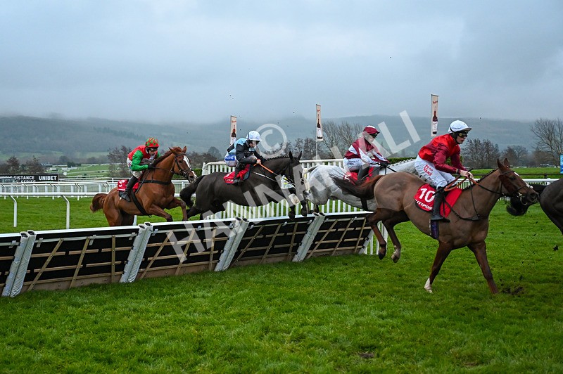 131224-Race 7-Long Draw-0178 - Race 7