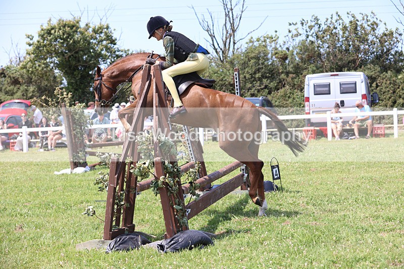 JPP_2570 - Class 21: Working Hunter 60cm