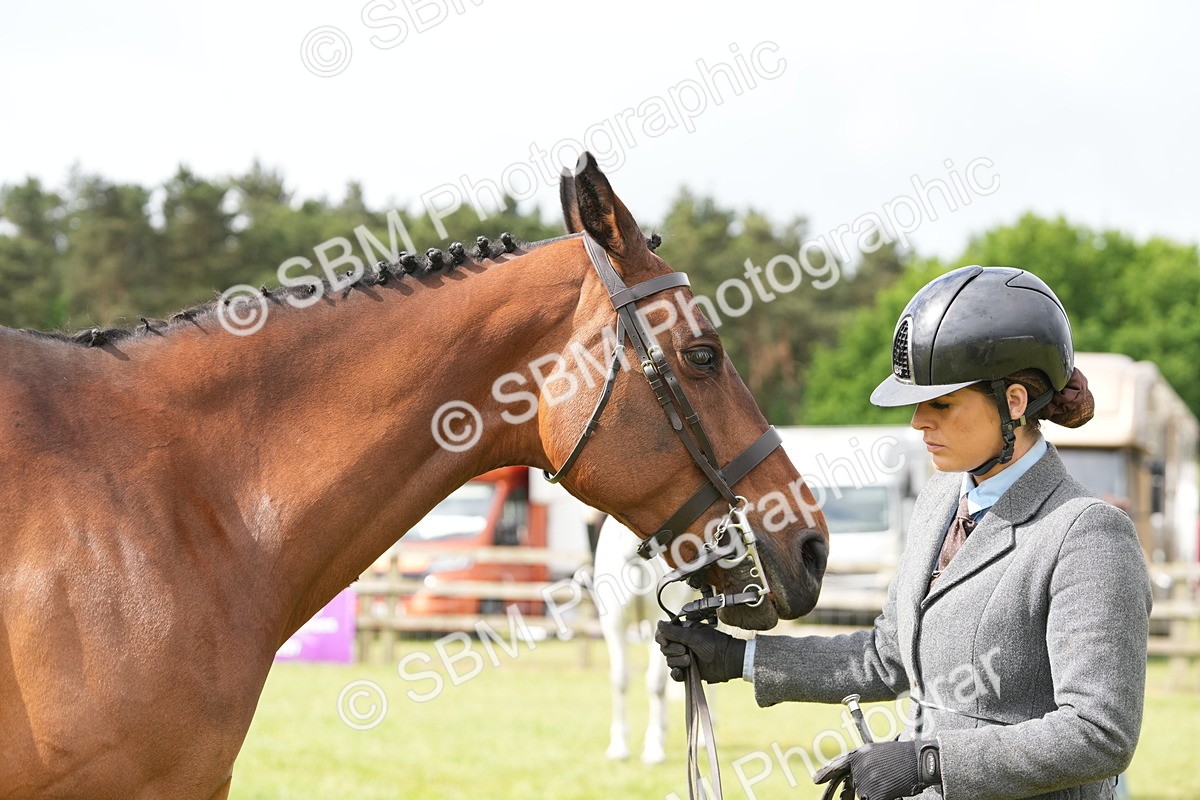 SBM_12769 - Class 97-98 - LIHS BSHA Rising Star Working Show Horse Hunter