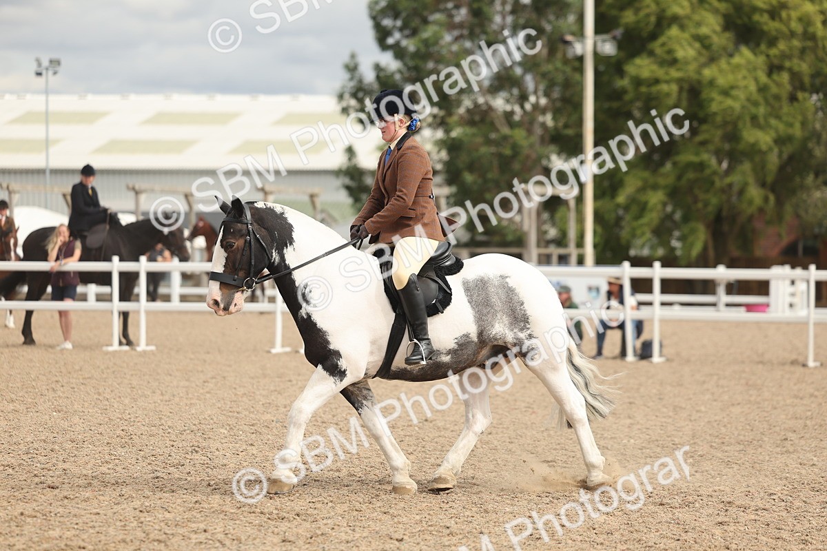 SBM_18012 - Class 314 - Family Horse Pony