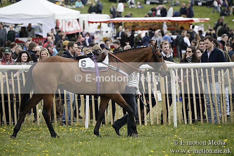 PtP 170417 214 - Old Berks Point-to-Point Lockinge 17/04/17