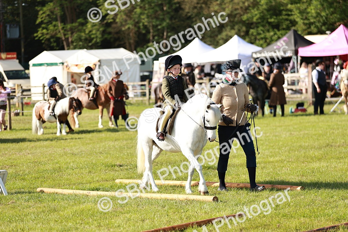 SBM_11234 - Class 106-107 - BSPS LIHS Working Sports Pony