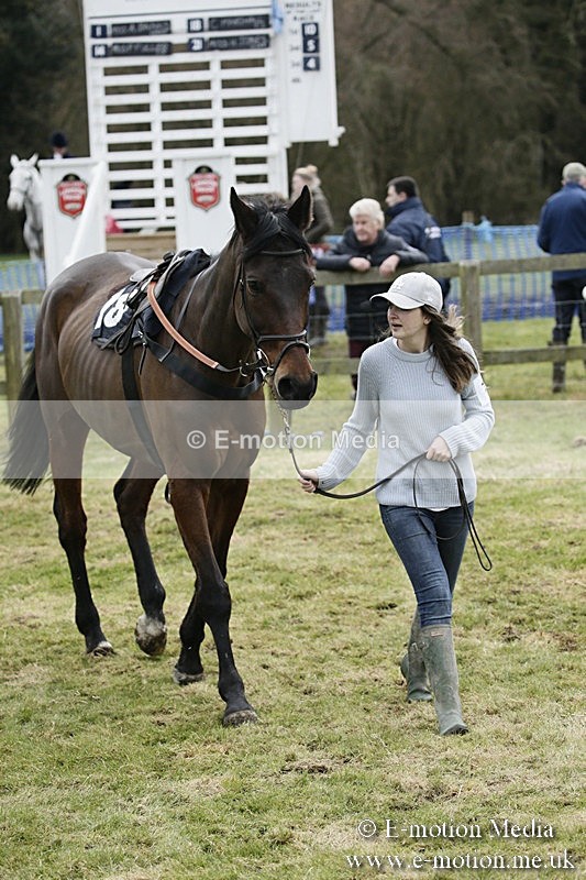 PtP 110318 99 - Hampshire Hunt Point-to-Point Hackwood Park 11/03/18
