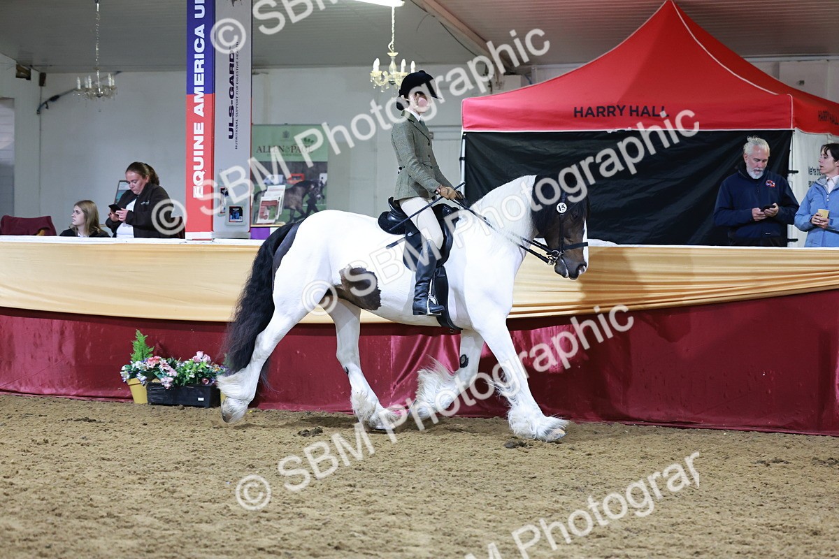 SBM_21282 - Class S - Style & Performance Champ