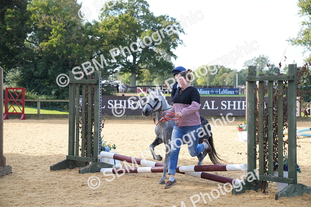 SBM_61363 - J1 - Mini Tour Junior Pony Lead Rein 30cm Championship