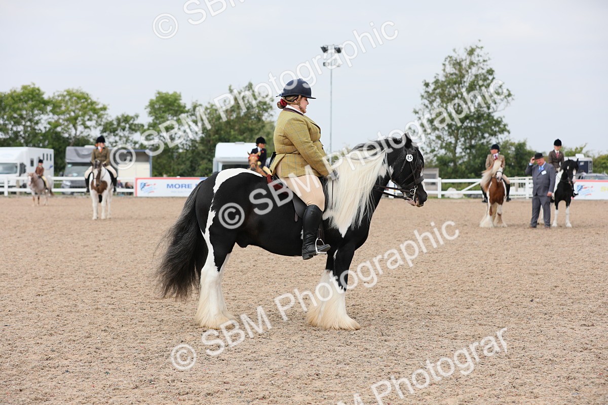 SBM_12750 - Class 307 Ridden Coloured Pony