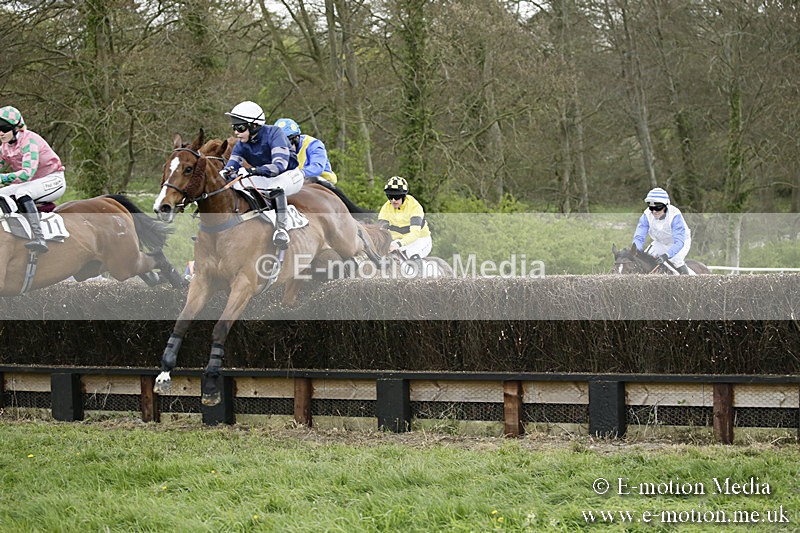 PtP 170417 513 - Old Berks Point-to-Point Lockinge 17/04/17