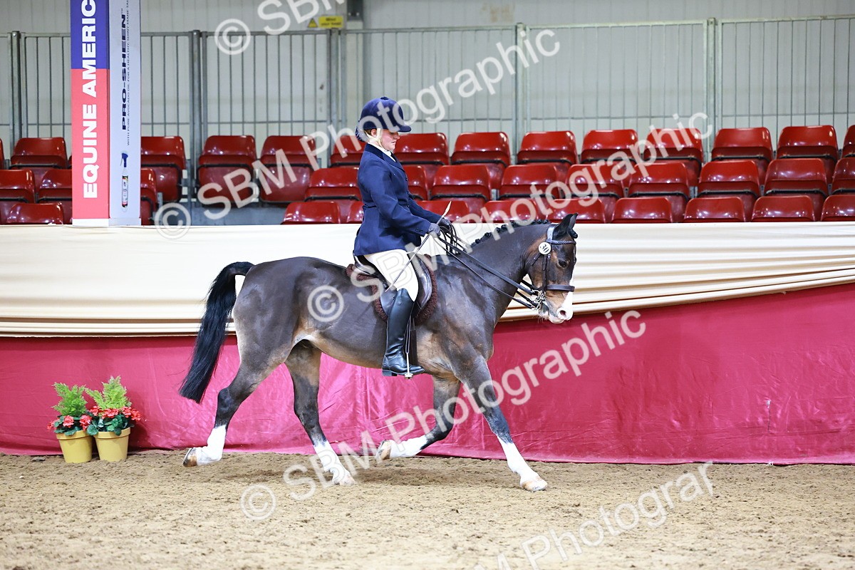 SBM_23202 - Class 904 - Supreme Final - Ridden Diamond