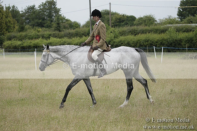 B230619-0904 - Bourne Valley Riding Club Summer Show 23/06/19