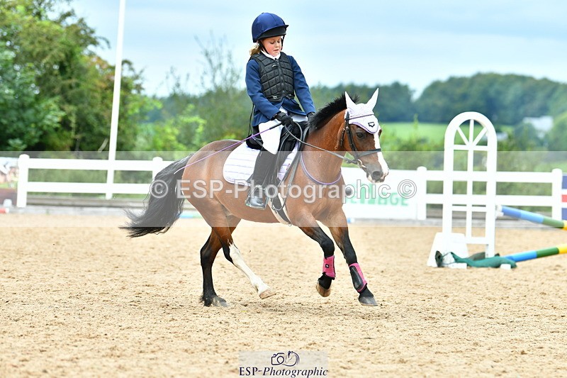 230804A-115825-02416 - Showjumping Competition