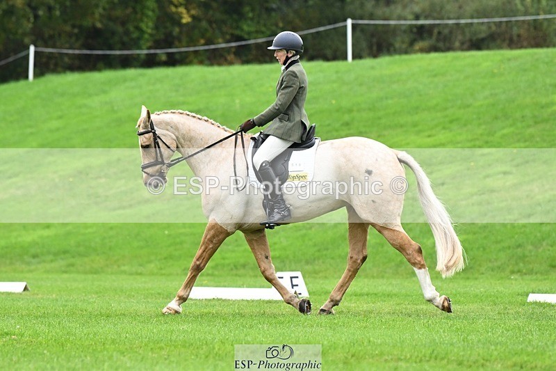 241024-125012-03523 - 519-Jane.Rogers-CORRIEVIEW.MERLIN.MAGIC