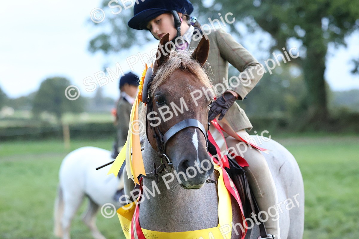 SBM_53447 - Super Supreme Championship (Sat)