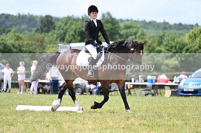 WJ7_5581 - Time 11:52 to 12:10