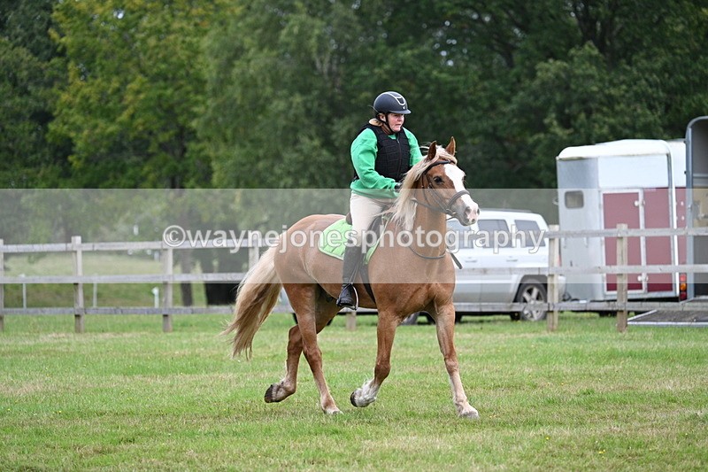 WJ7_7847 - 40cm Time 10:49 to 11:18