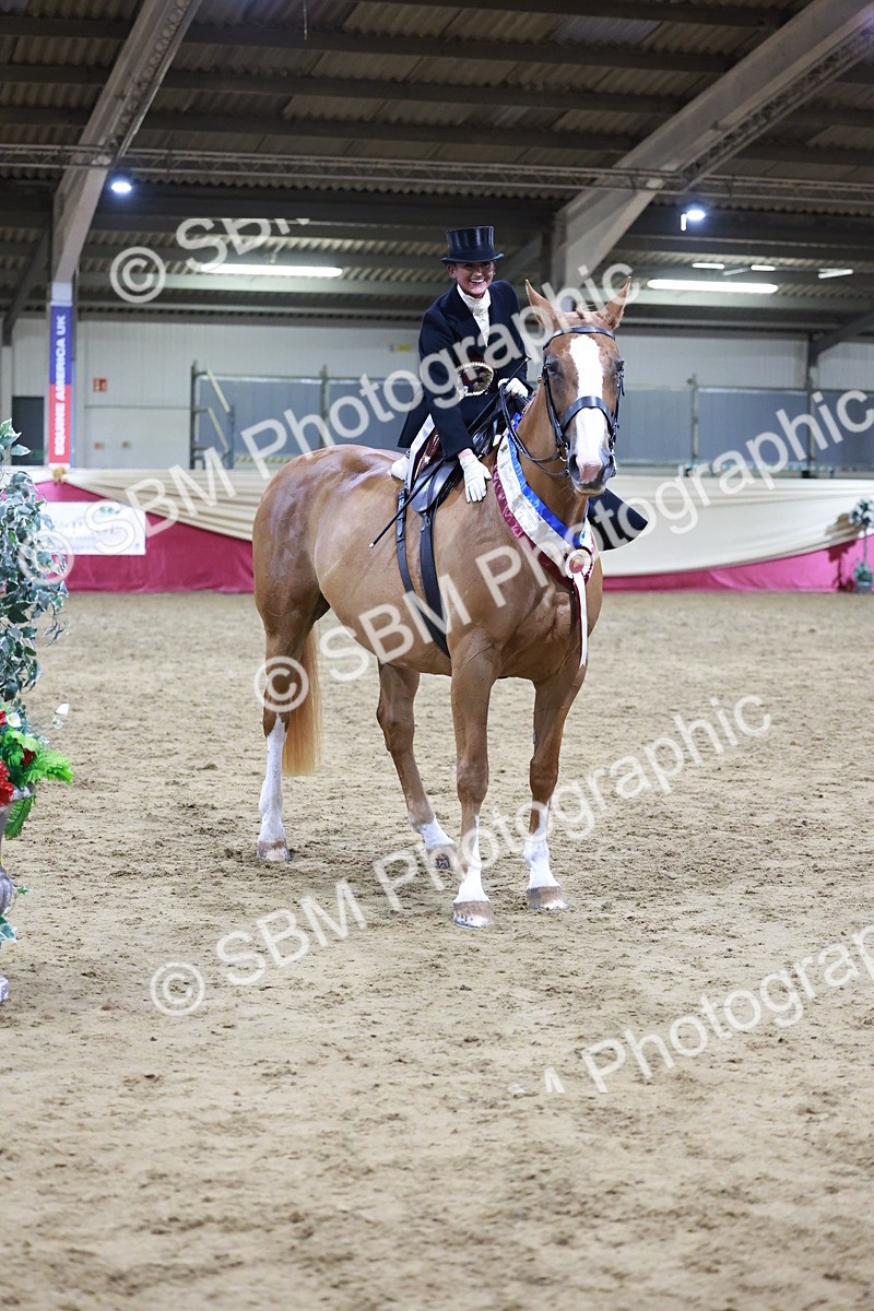SBM_20967 - Class N - Side Saddle Champ